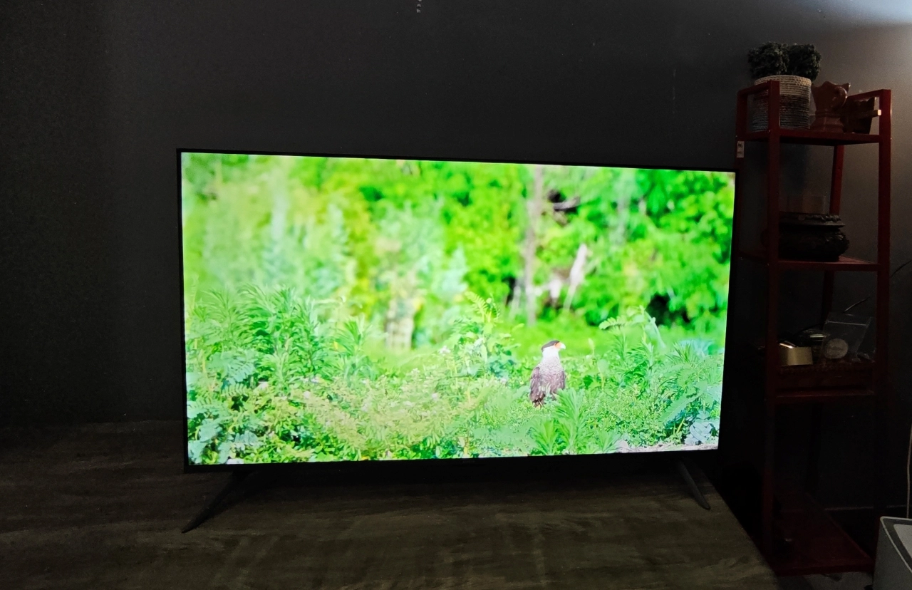 Xiaomi TV A Pro 55 inci 2026