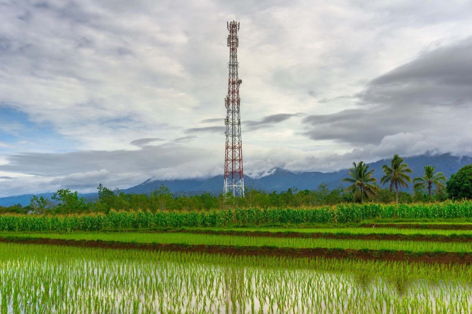 Otomatisasi Jaringan AI Indosat Qualcomm